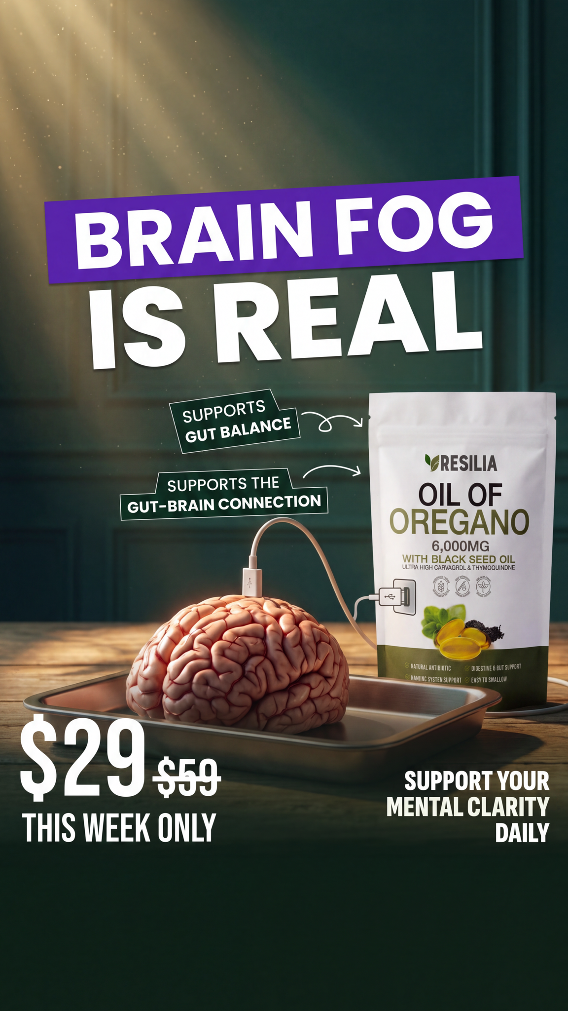 Resilia Facebook ad