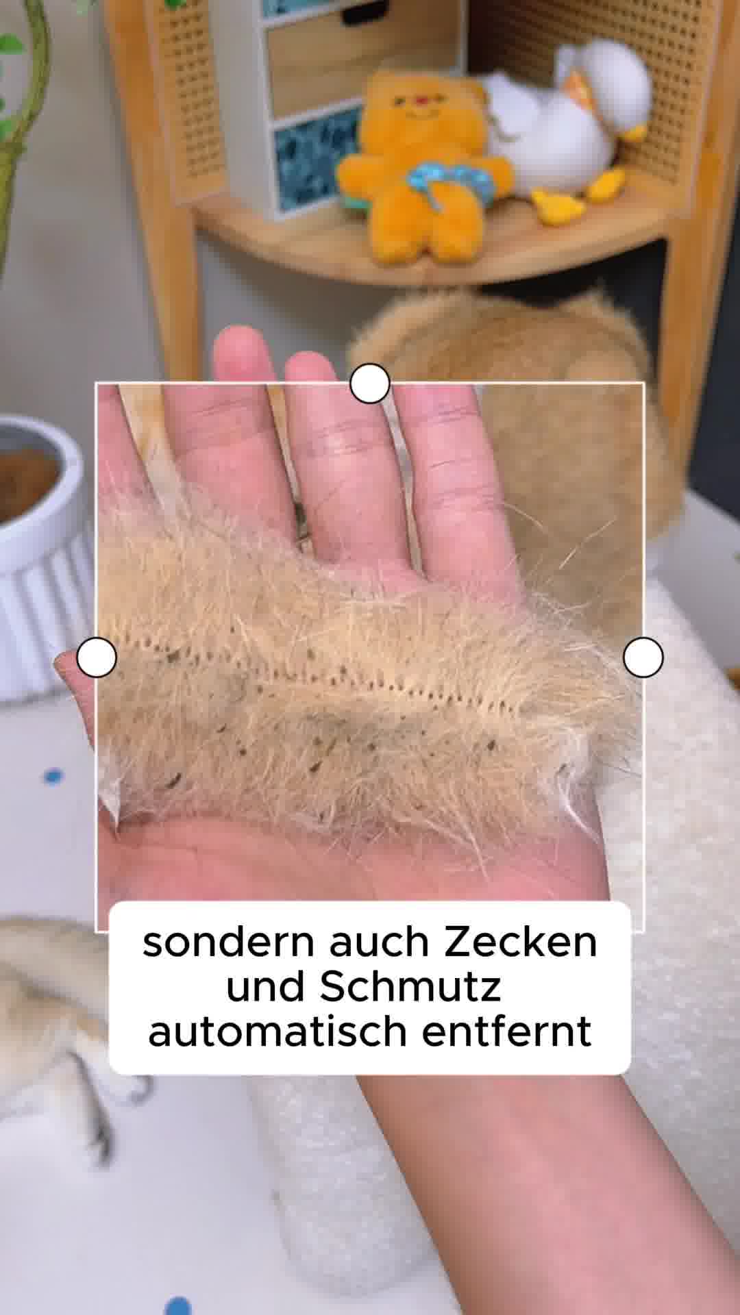 Pfotenmond.de Facebook ad: 30 Tage risikofrei testen