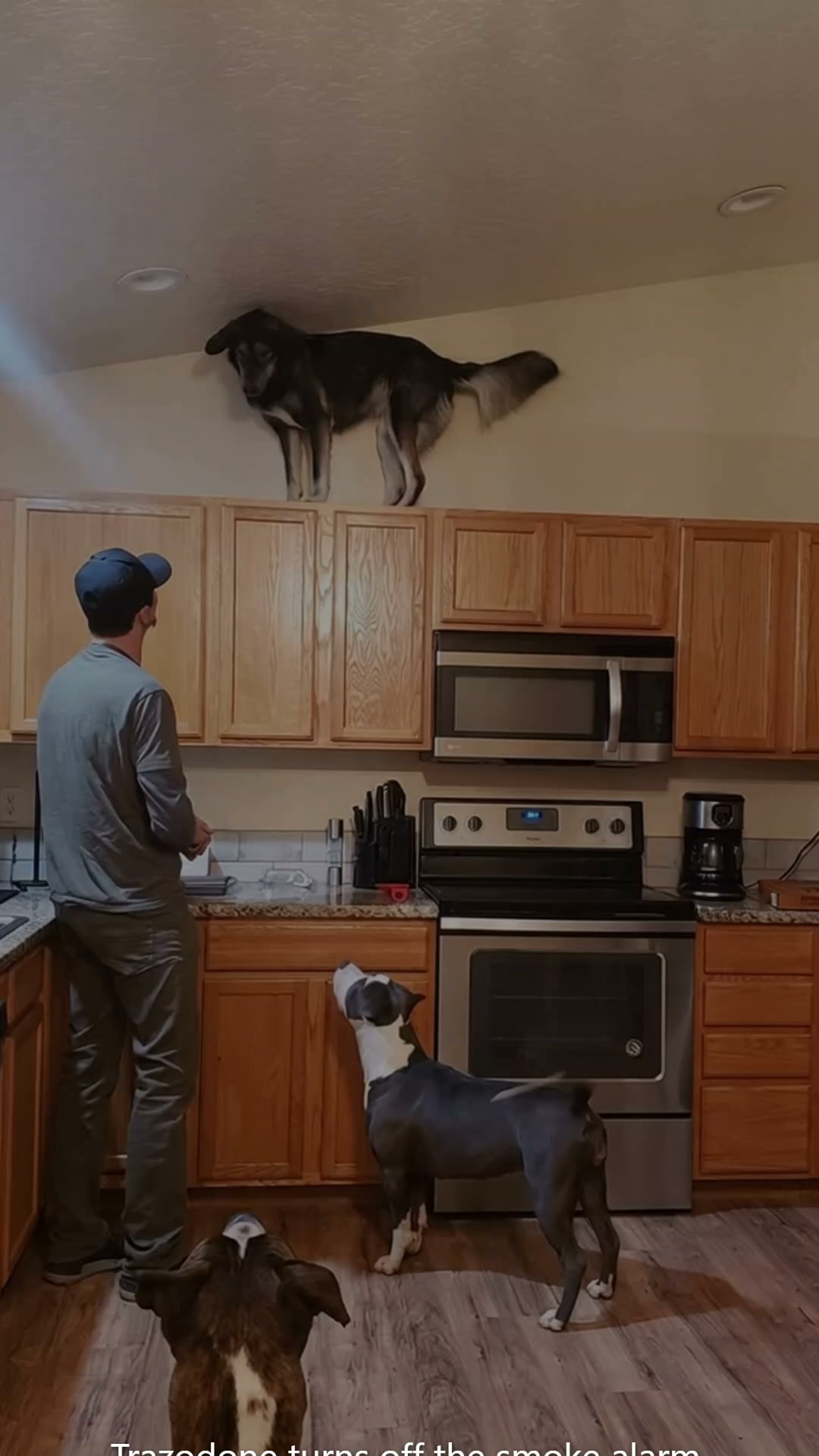 Lakeview Animal Hospital Facebook ad: Trazodone turns off the smoke alarm. Prozac stretches the…