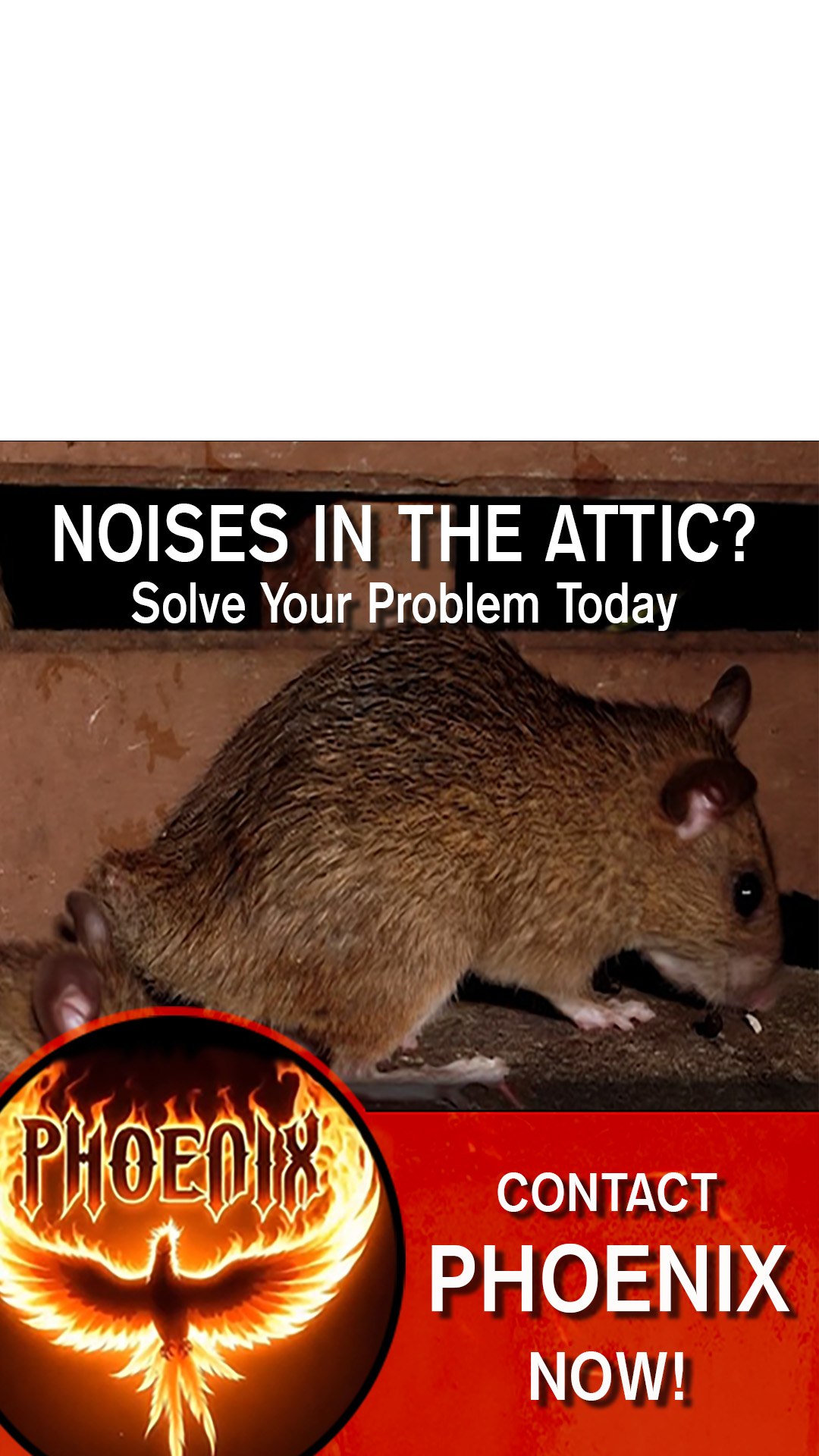 Phoenix Pest Management & Wildlife Control Facebook ad