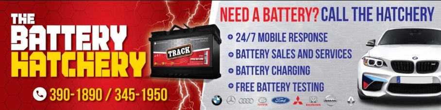 The Battery Hatchery Facebook ad: Need a Battery?