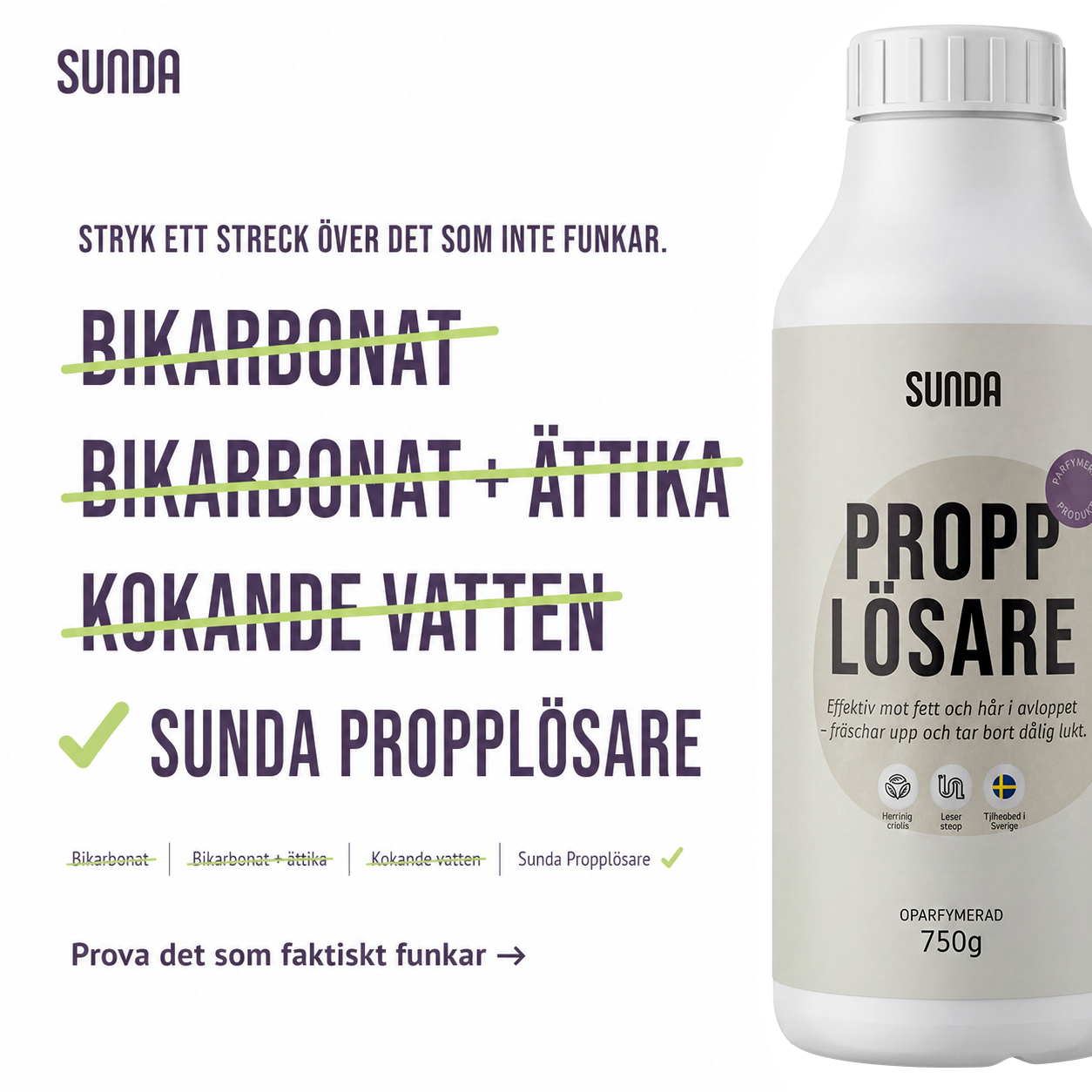 Sunda Facebook ad