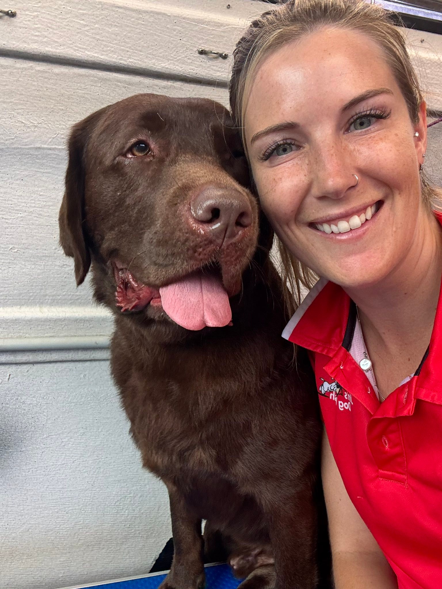 Jim's Dog Wash And Grooming Facebook ad