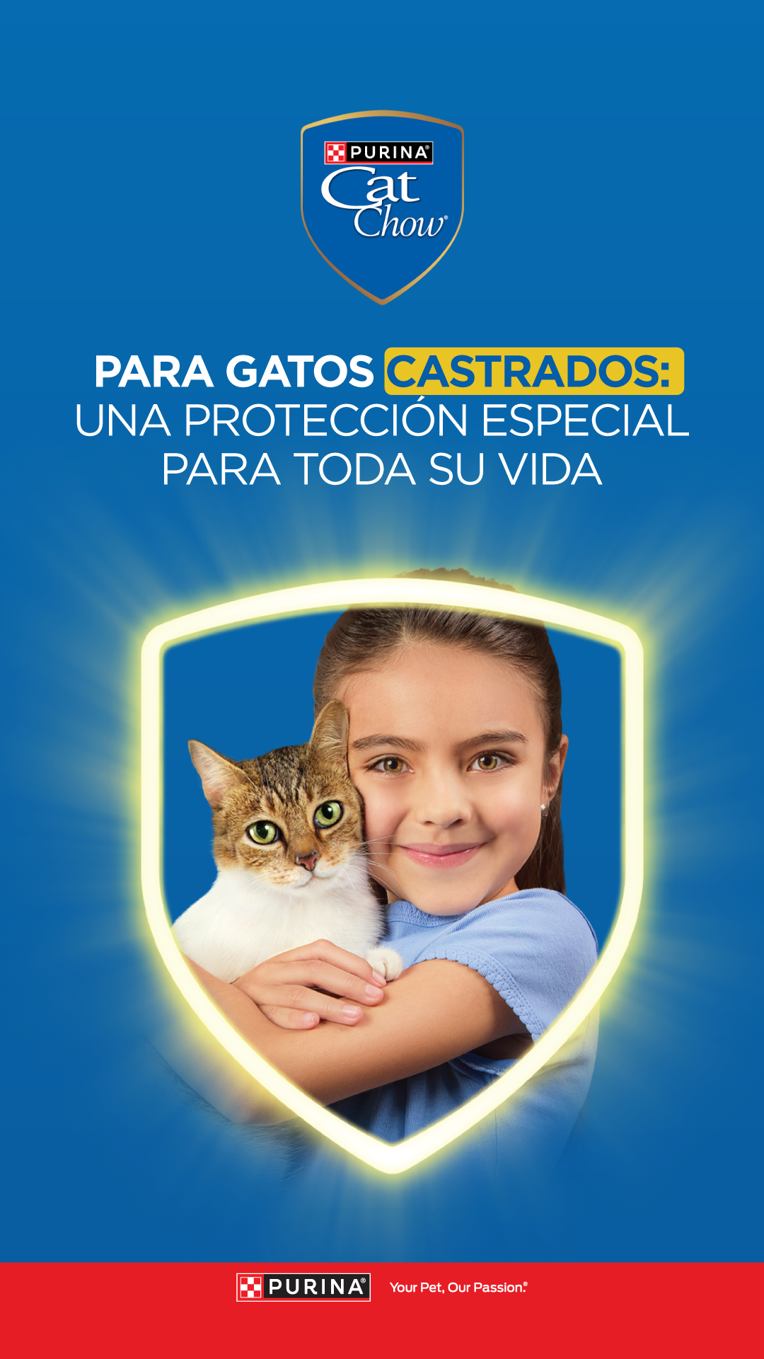Purina Cat Chow Facebook ad