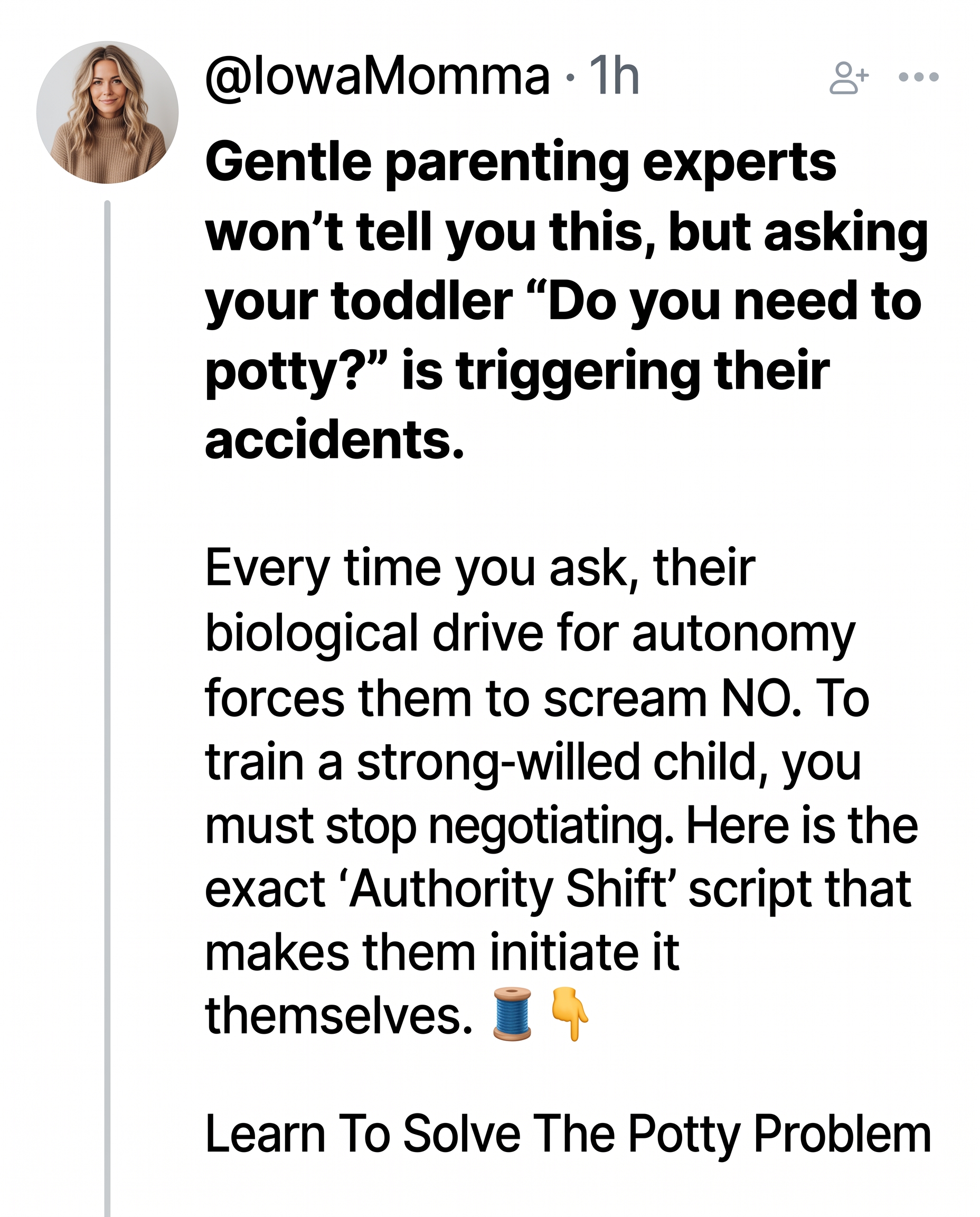 Rachel Williams Facebook ad: Potty Training Without the Pain