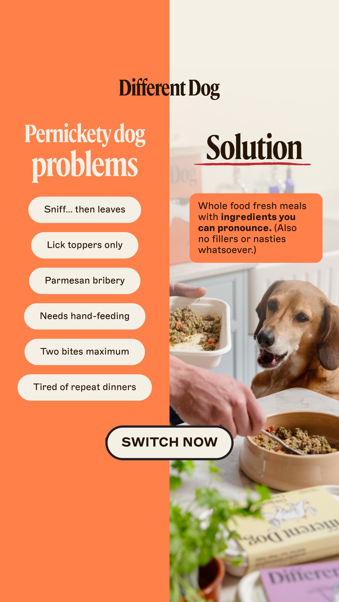 Different Dog Facebook ad