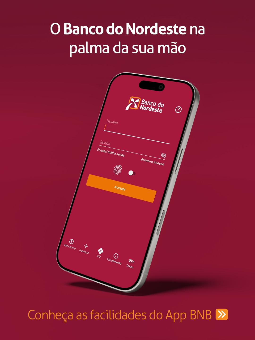 Banco do Nordeste Facebook ad