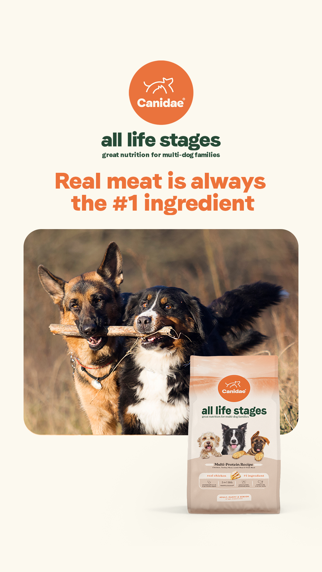 Canidae Pet Food Facebook ad from Feb 12, 2026