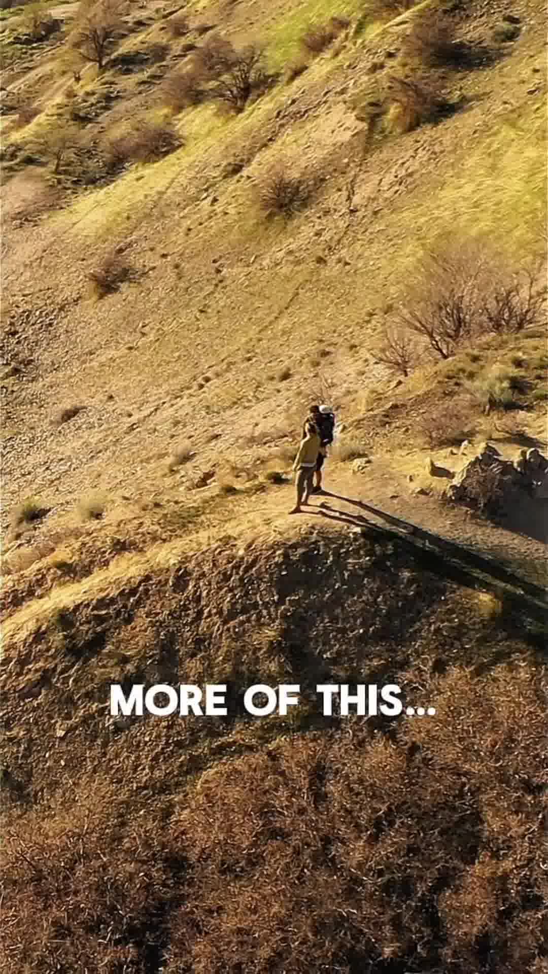 K9 Sport Sack Facebook ad: Cool Hikes with K9