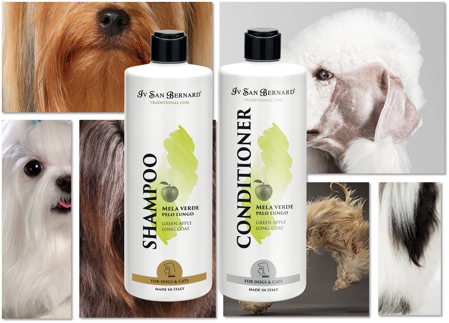 Winner.Dog Facebook ad