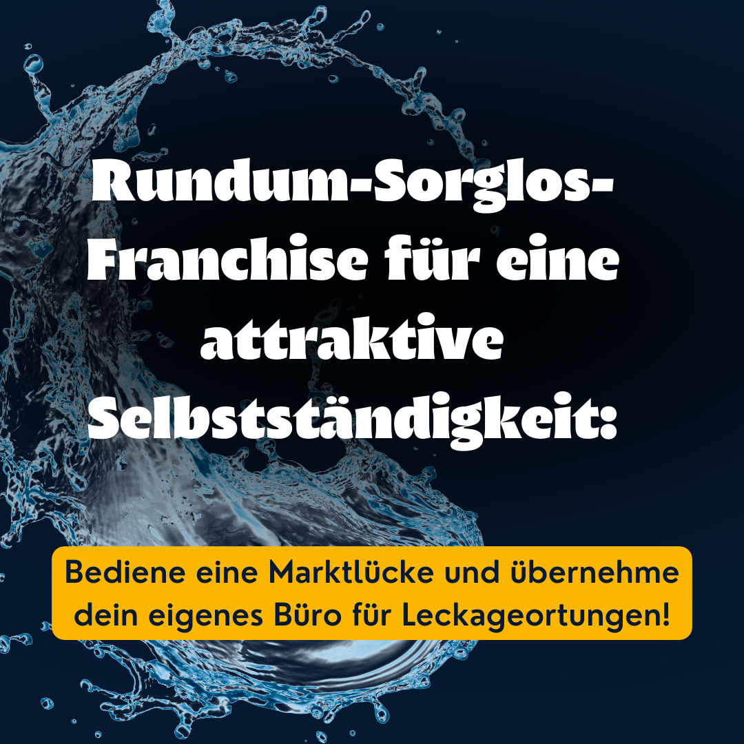 FranchisePORTAL Facebook ad