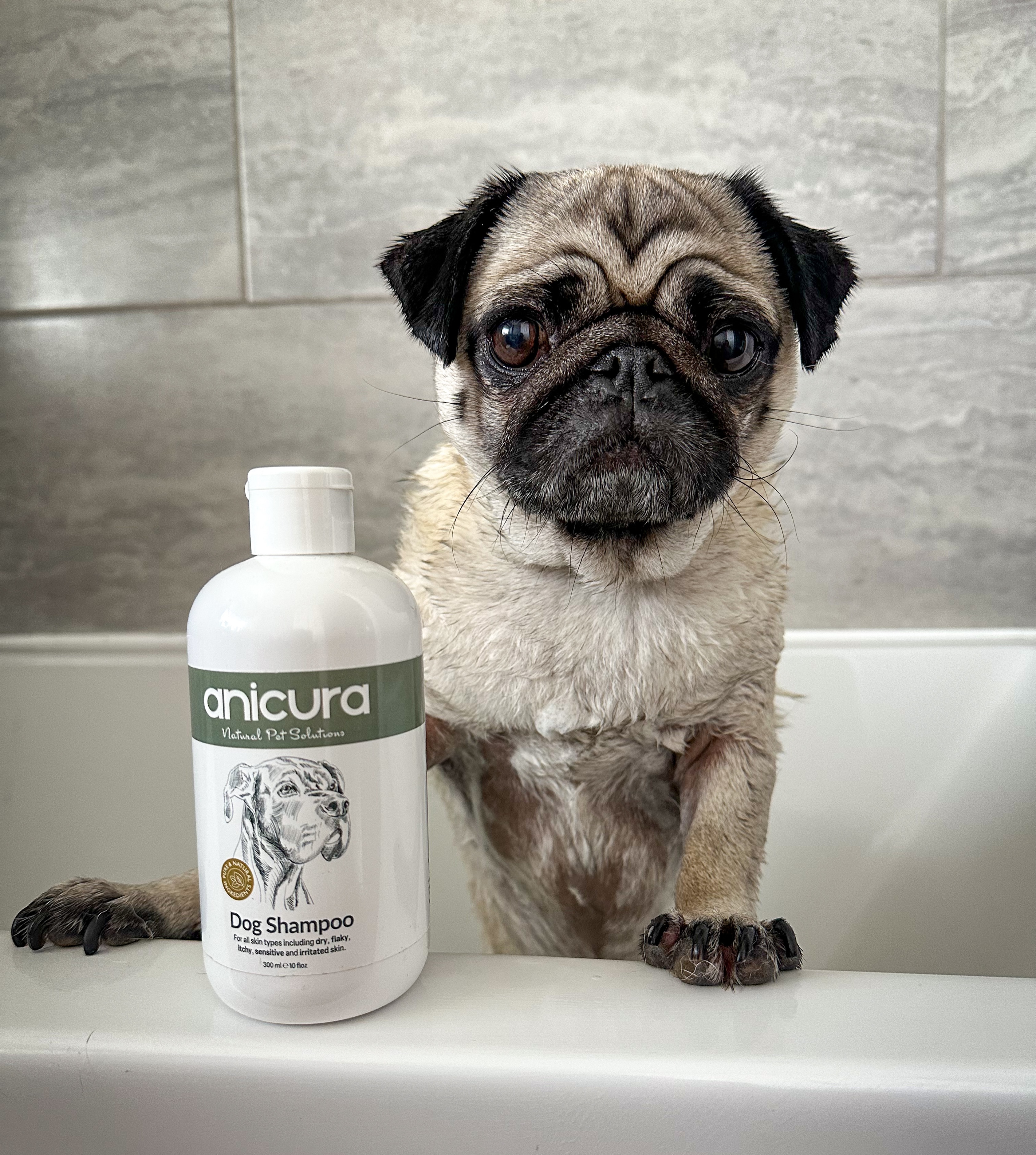 Cookiethepug.2021 Facebook ad