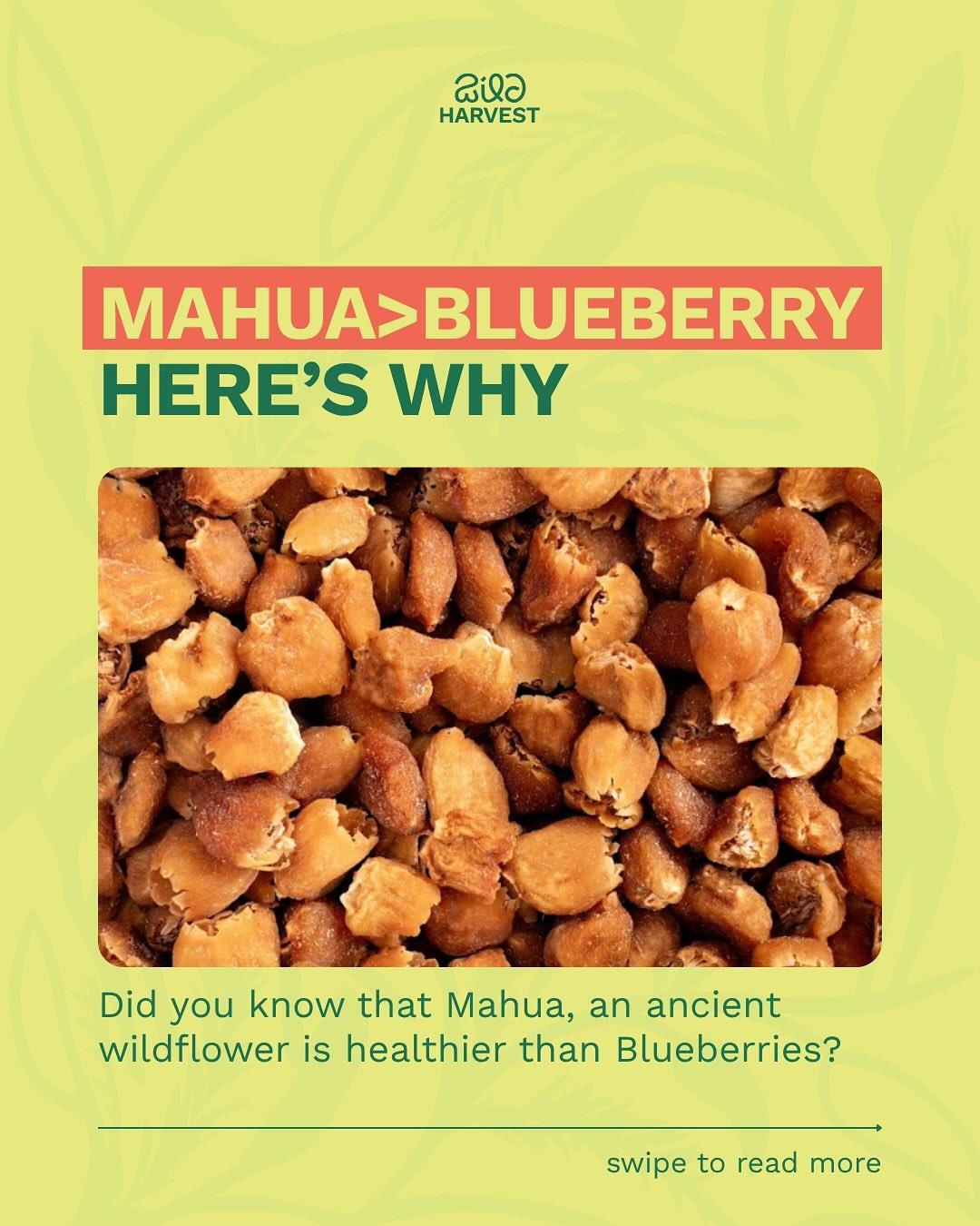 Wild Harvest Facebook ad: Step aside, blueberries… Mahua’s here to knock you…