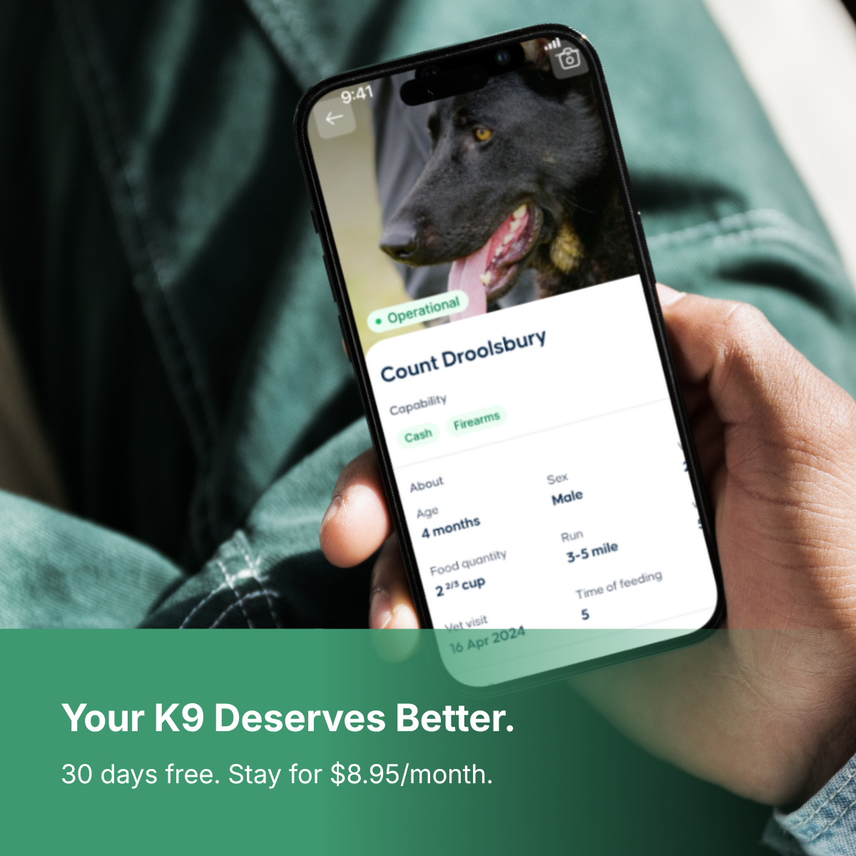 Working Dog App Facebook ad