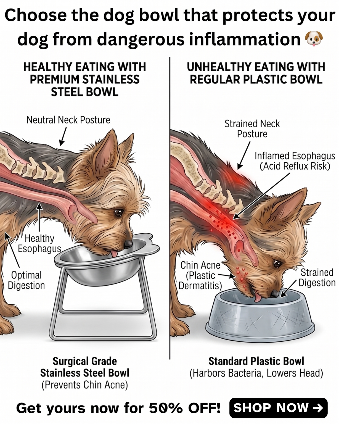 Smith & Woofers Facebook ad: Is the bowl causing this?