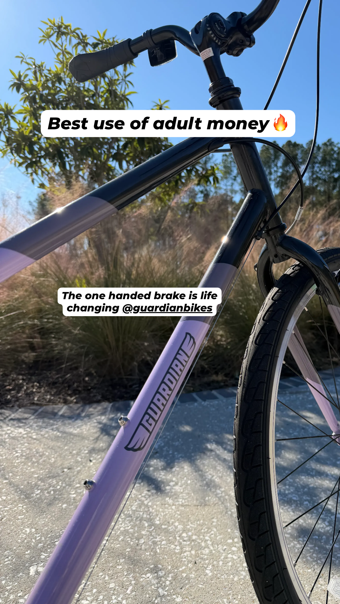 Guardian Bikes Facebook ad