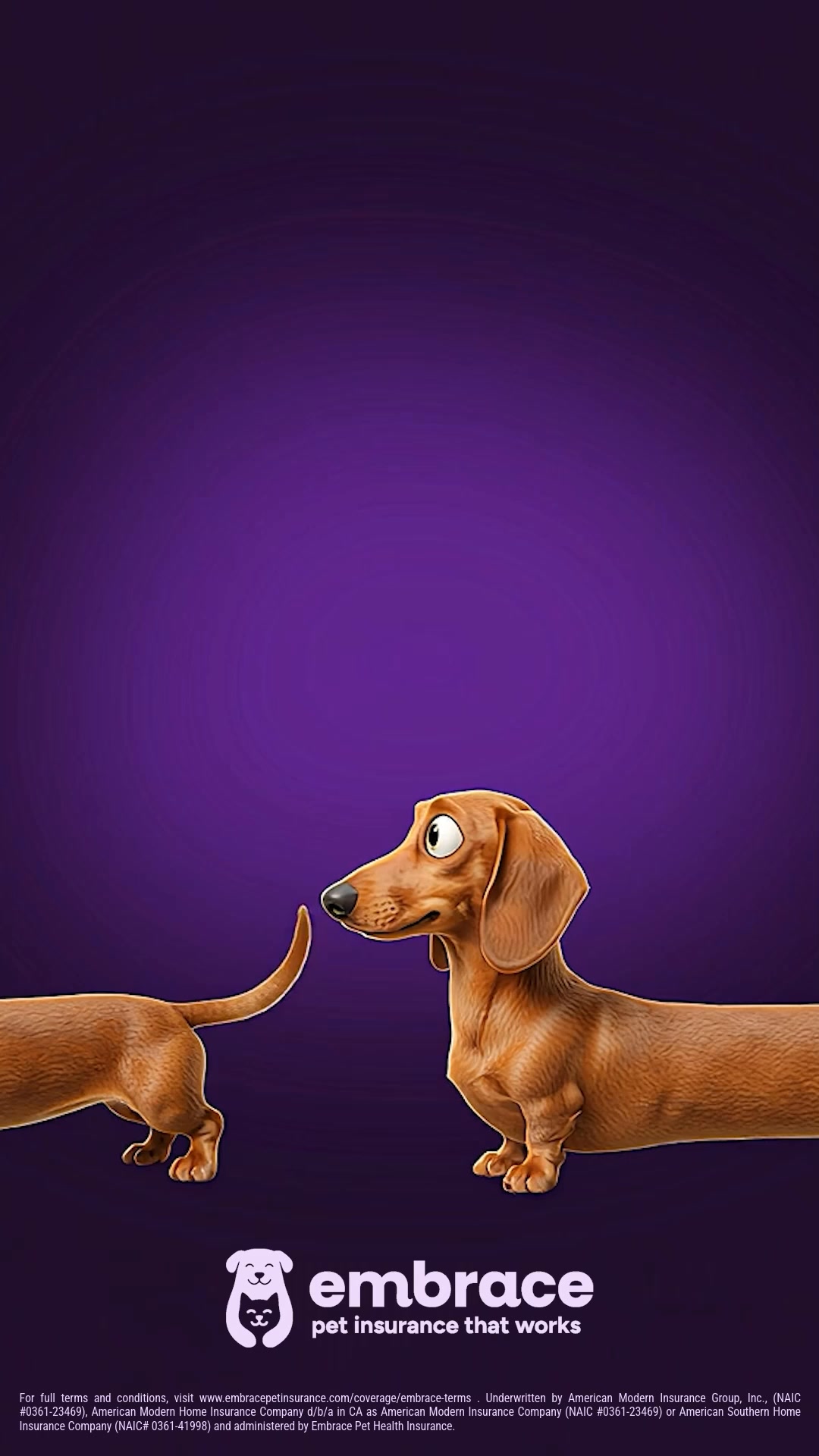 Embrace Pet Insurance Facebook ad from Jul 20, 2026