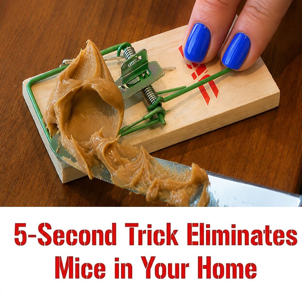 Mice Secrets Facebook ad