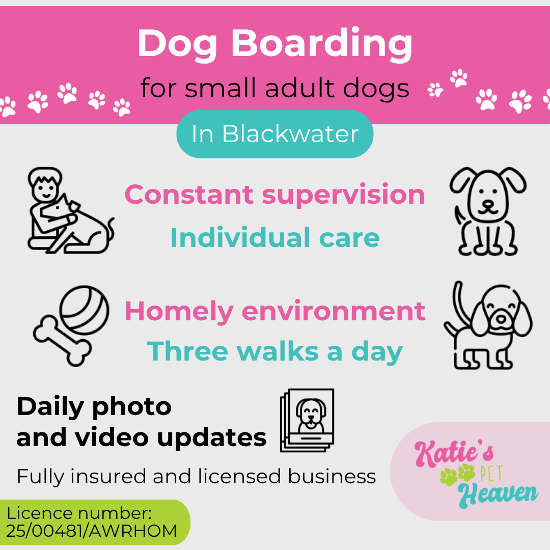 Katie's Pet Heaven Facebook ad