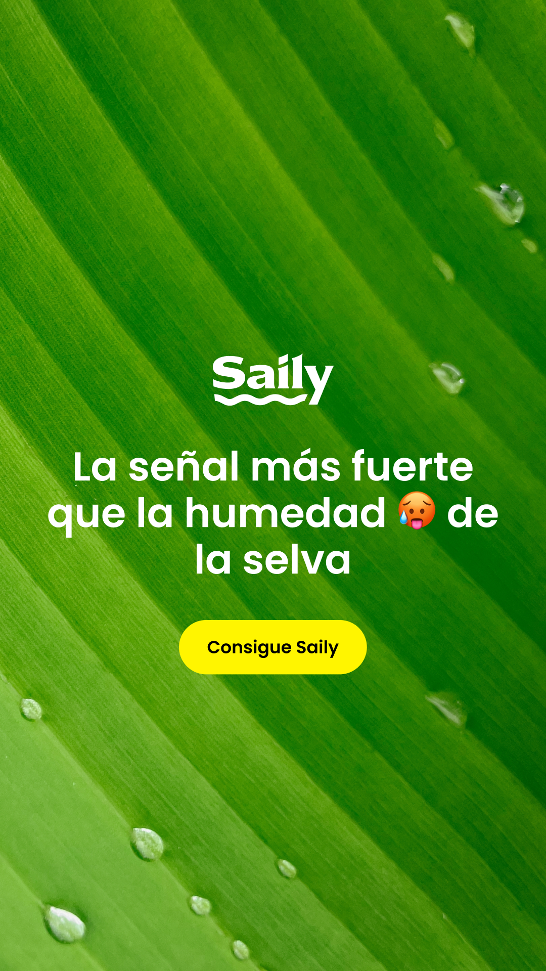 Saily Facebook ad