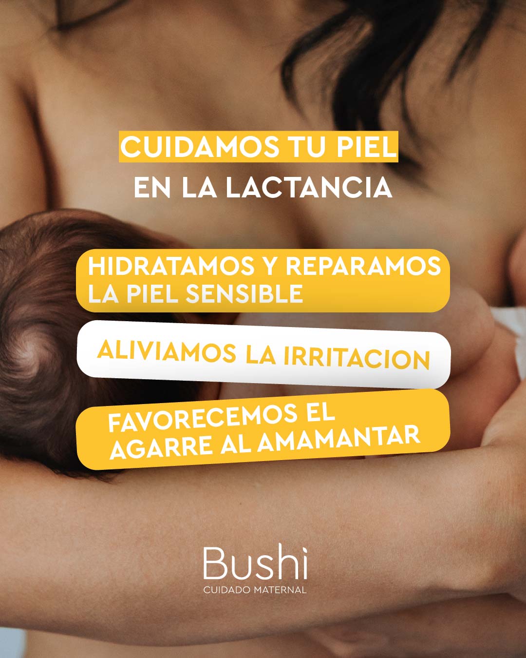 Bushi Facebook ad