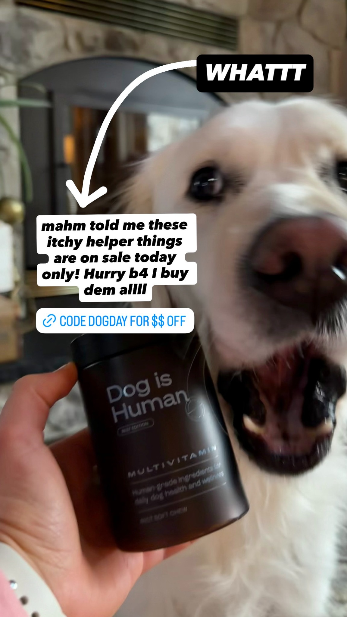 Dog is Human Facebook ad