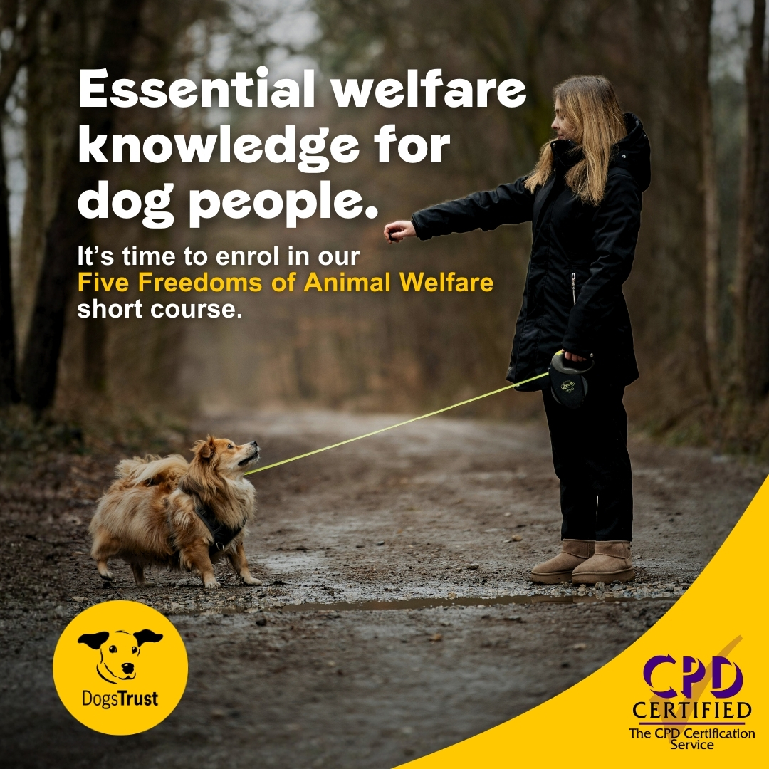 Dogs Trust Ireland Facebook ad: Sign up now and get €5 off >>