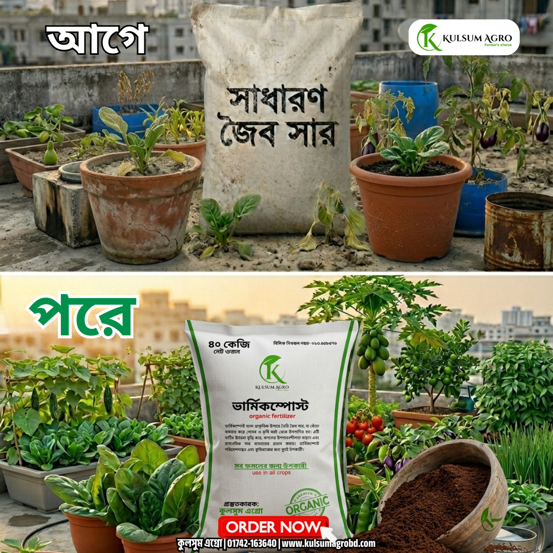 Kulsum Agro Facebook ad: কুরিয়ার চার্জ ফ্রি অল্প সময়ের জন্য