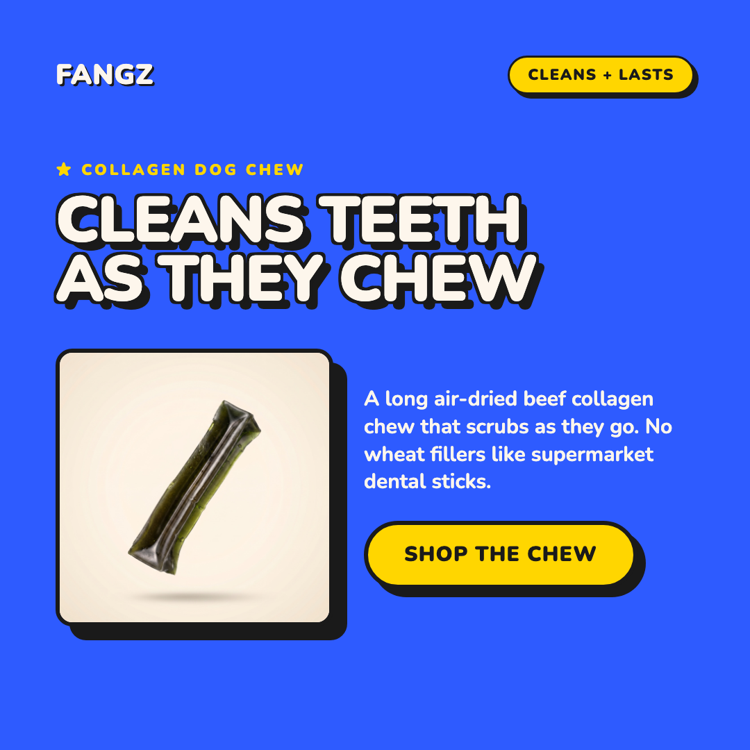 FANGZ Dog Chews Facebook ad: Your dog's natural toothbrush