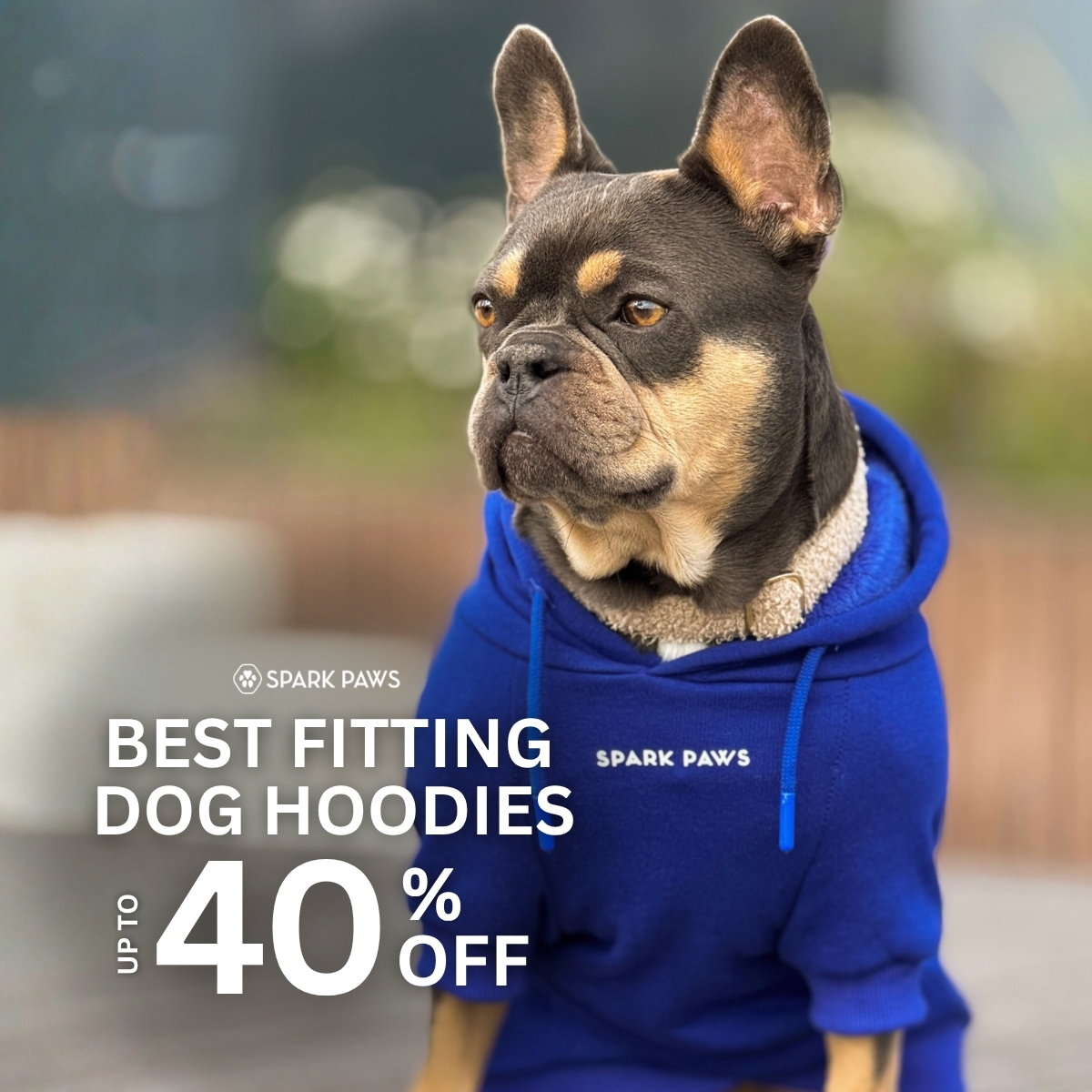 Spark Paws Facebook ad