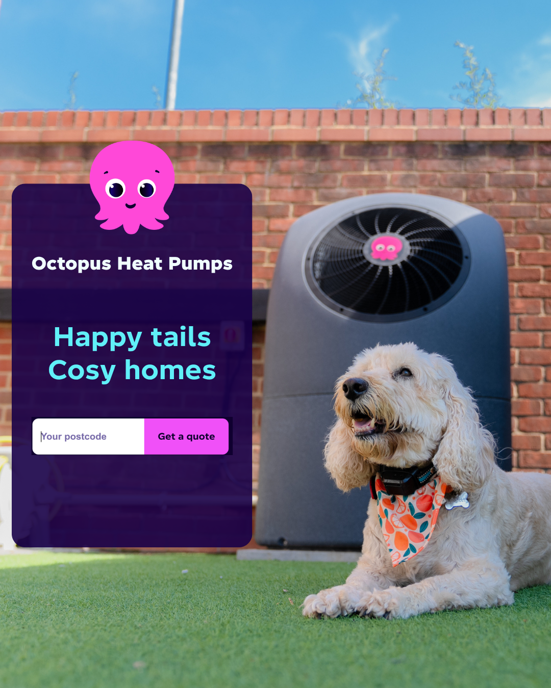 Octopus Energy Facebook ad: Cosiness: Teddy Tested Heat Your Home Without Gas