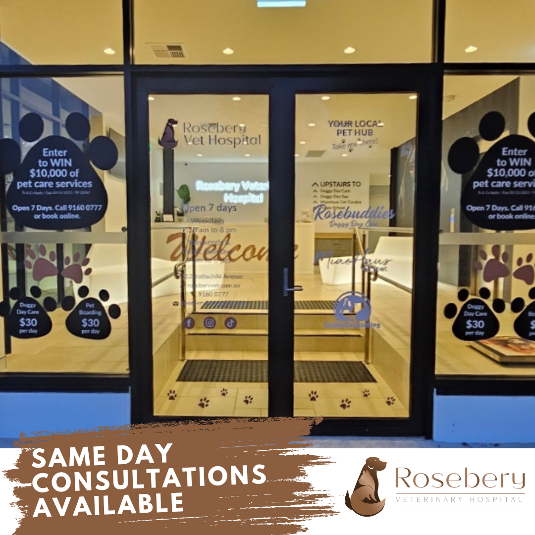 Rosebery Veterinary Hospital Facebook ad: Discover exceptional pet care at Rosebery Vet!