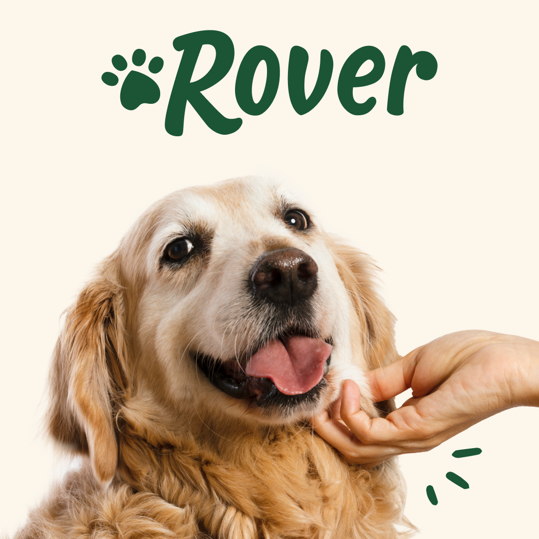 Rover.com Facebook ad: Traveling? Book pet care