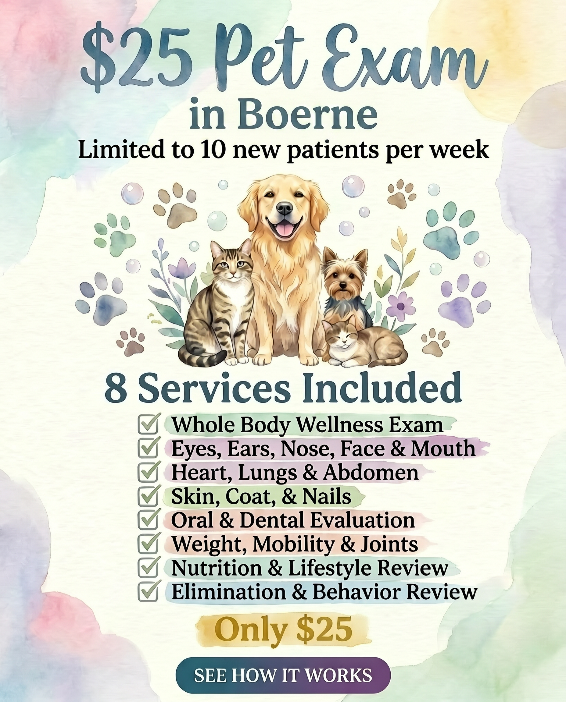 Cutting Edge Pet Clinic Facebook ad: San Antonio Pet Exam for $25