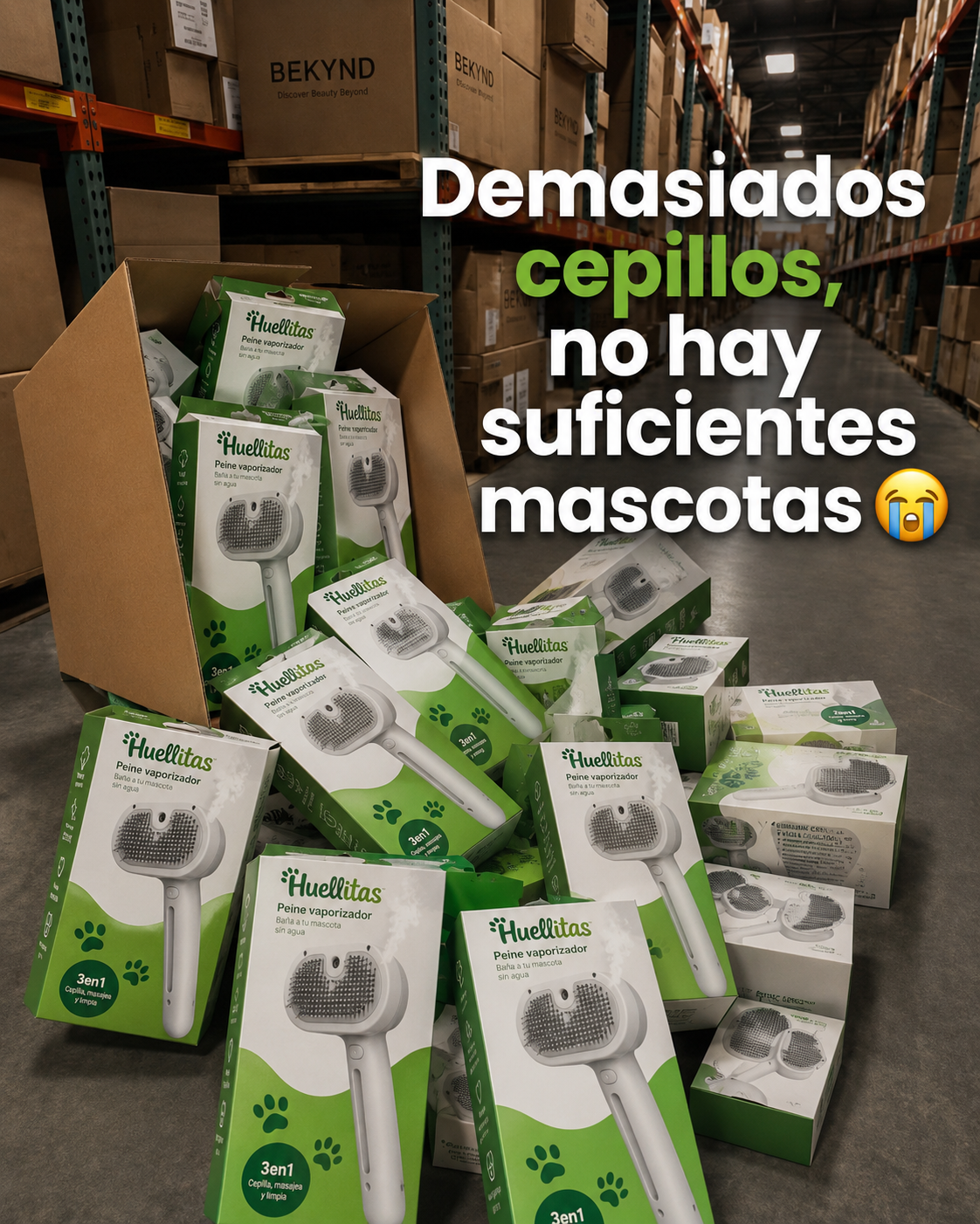 Huellitas Facebook ad from Jul 7, 2026