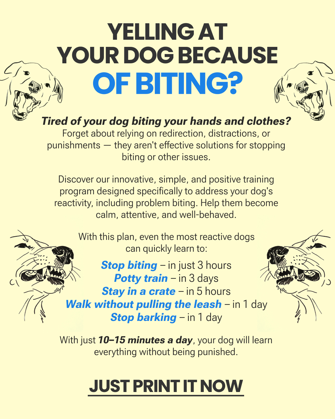 Ben Your Puppy Trainer Facebook ad