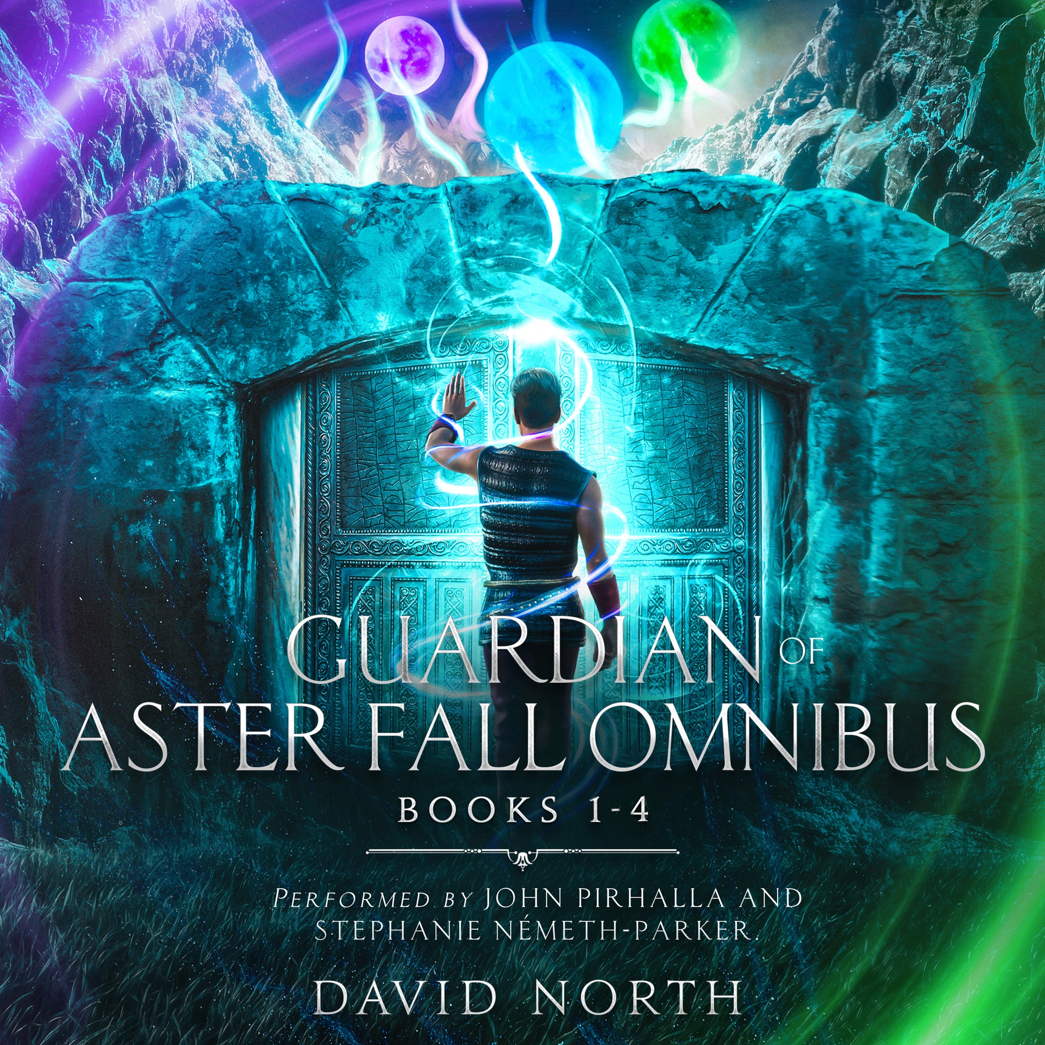 David North-Author Facebook ad: Guardian of Aster Fall