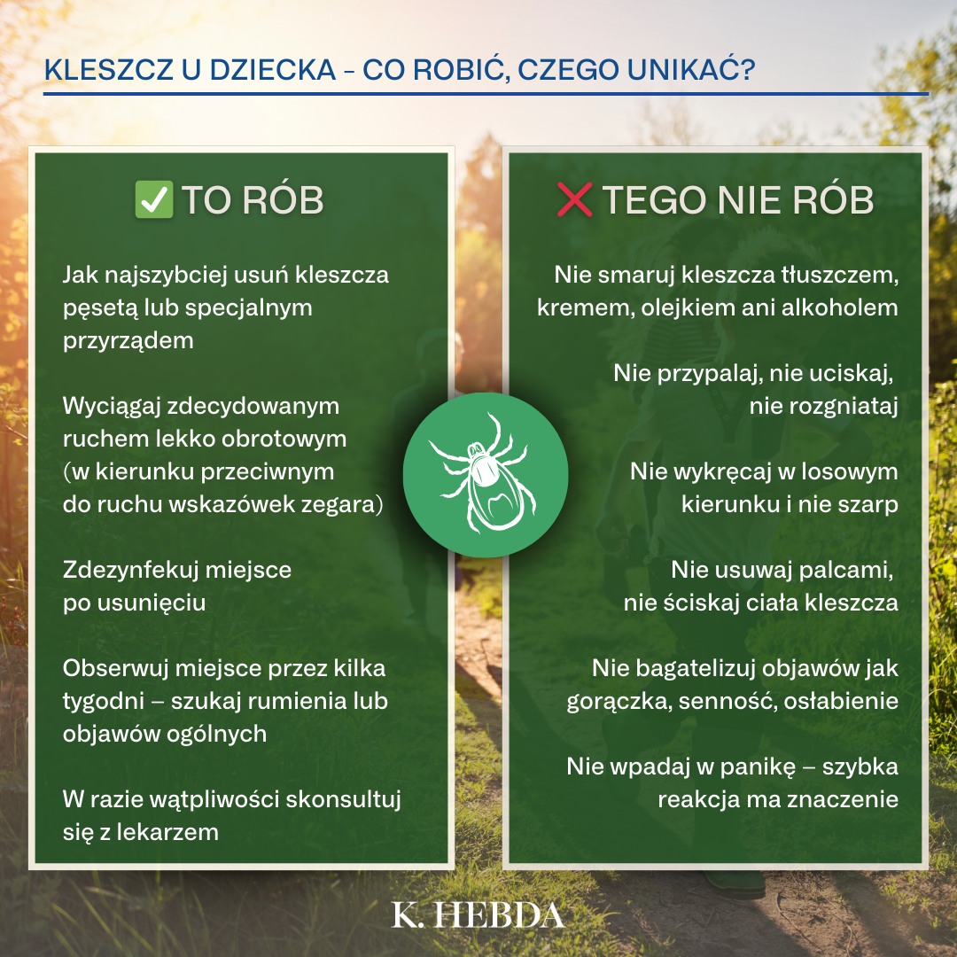 Klaudyna Hebda Blog Facebook ad