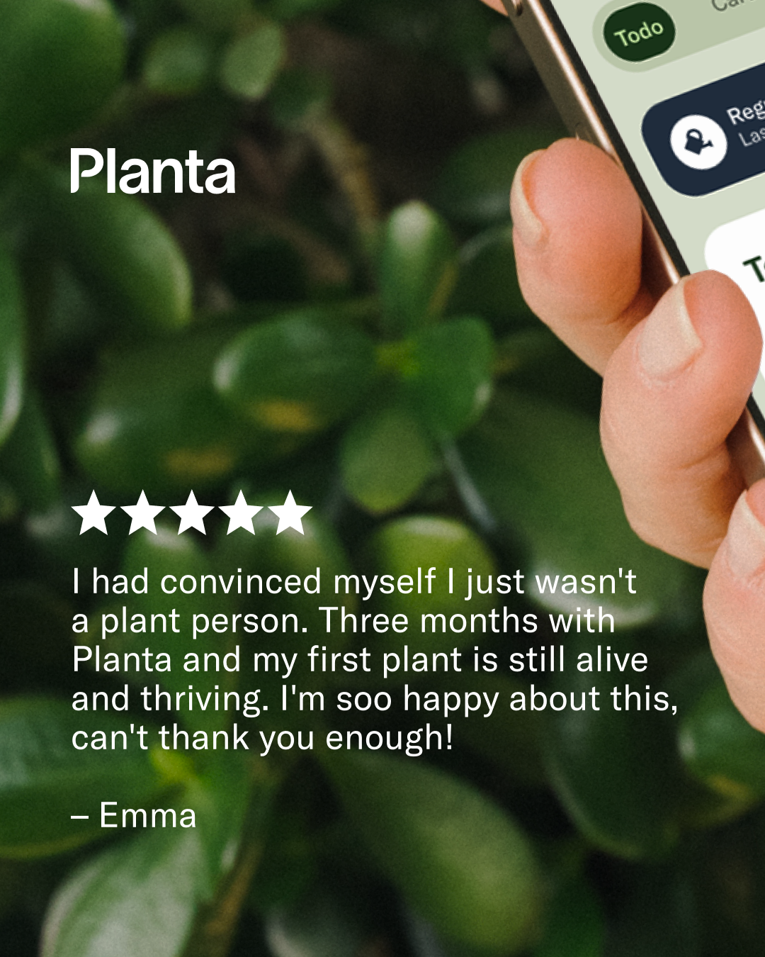 Planta Facebook ad