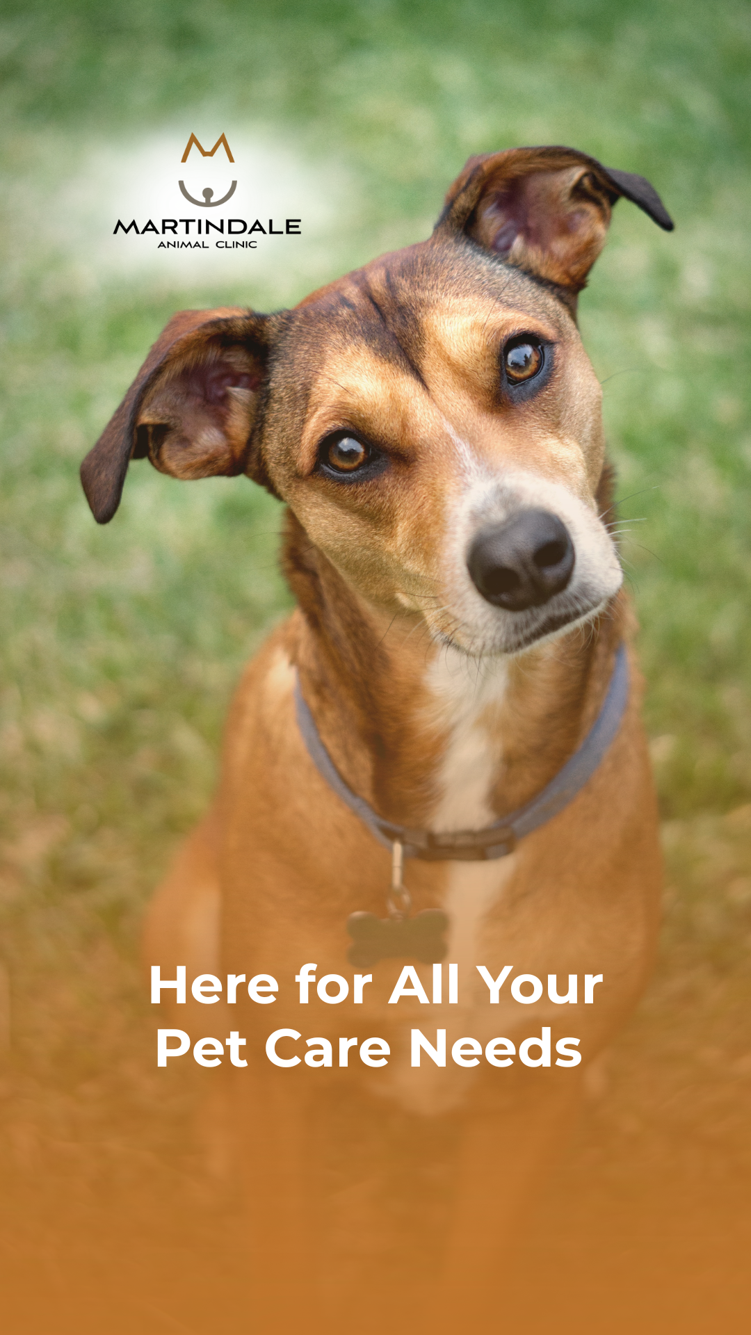 Martindale Animal Clinic Facebook ad from Apr 10, 2026