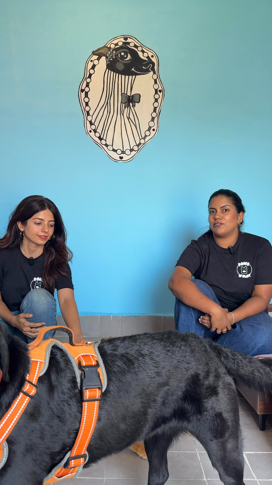 Paws N Play Facebook ad: Your dog's second home