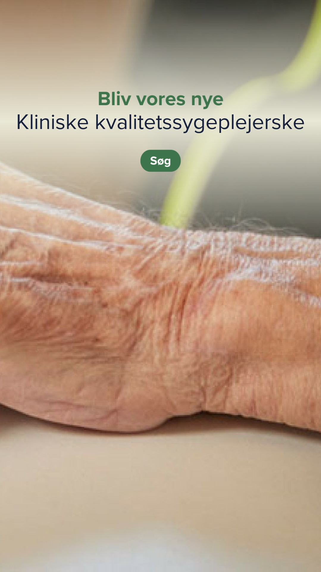 Hvidovre Kommune Facebook ad