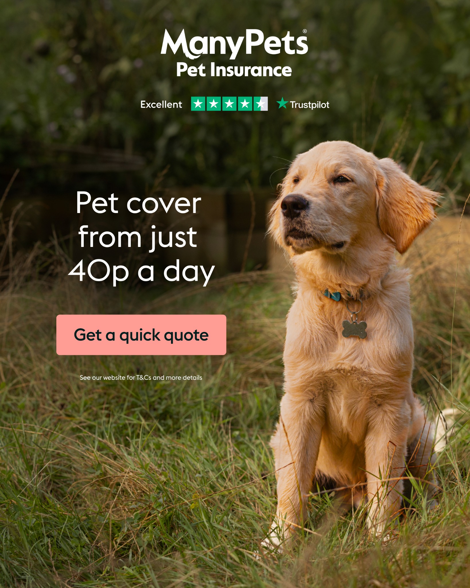 ManyPets UK Facebook ad