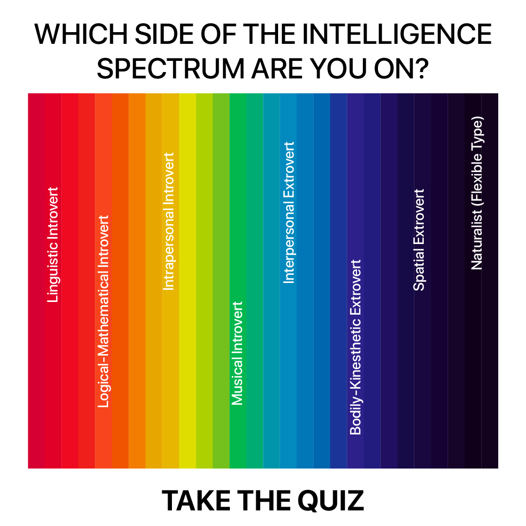 My IQ Facebook ad
