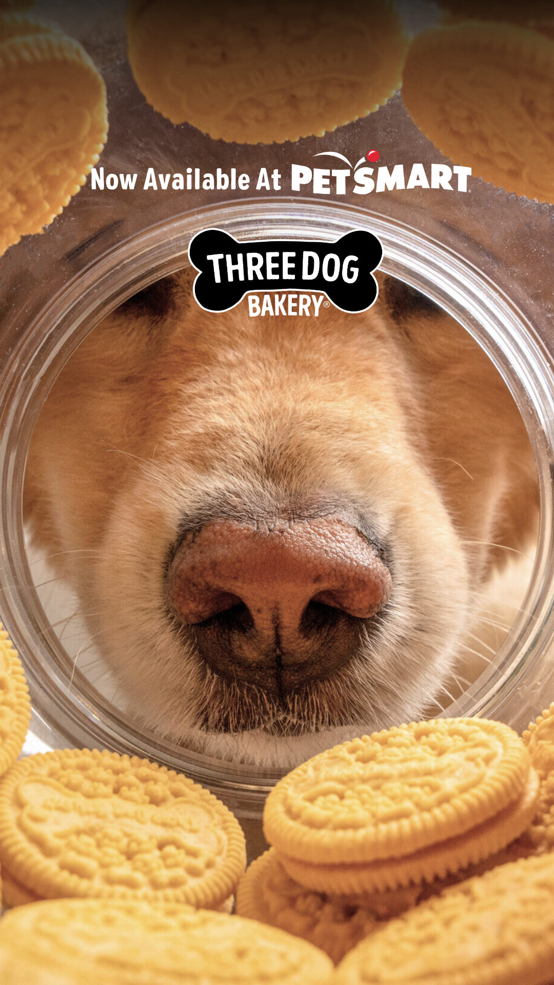 Three Dog Bakery Facebook ad