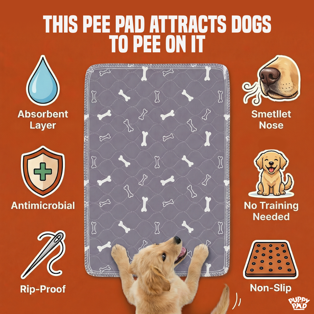 PuppyPad Facebook ad