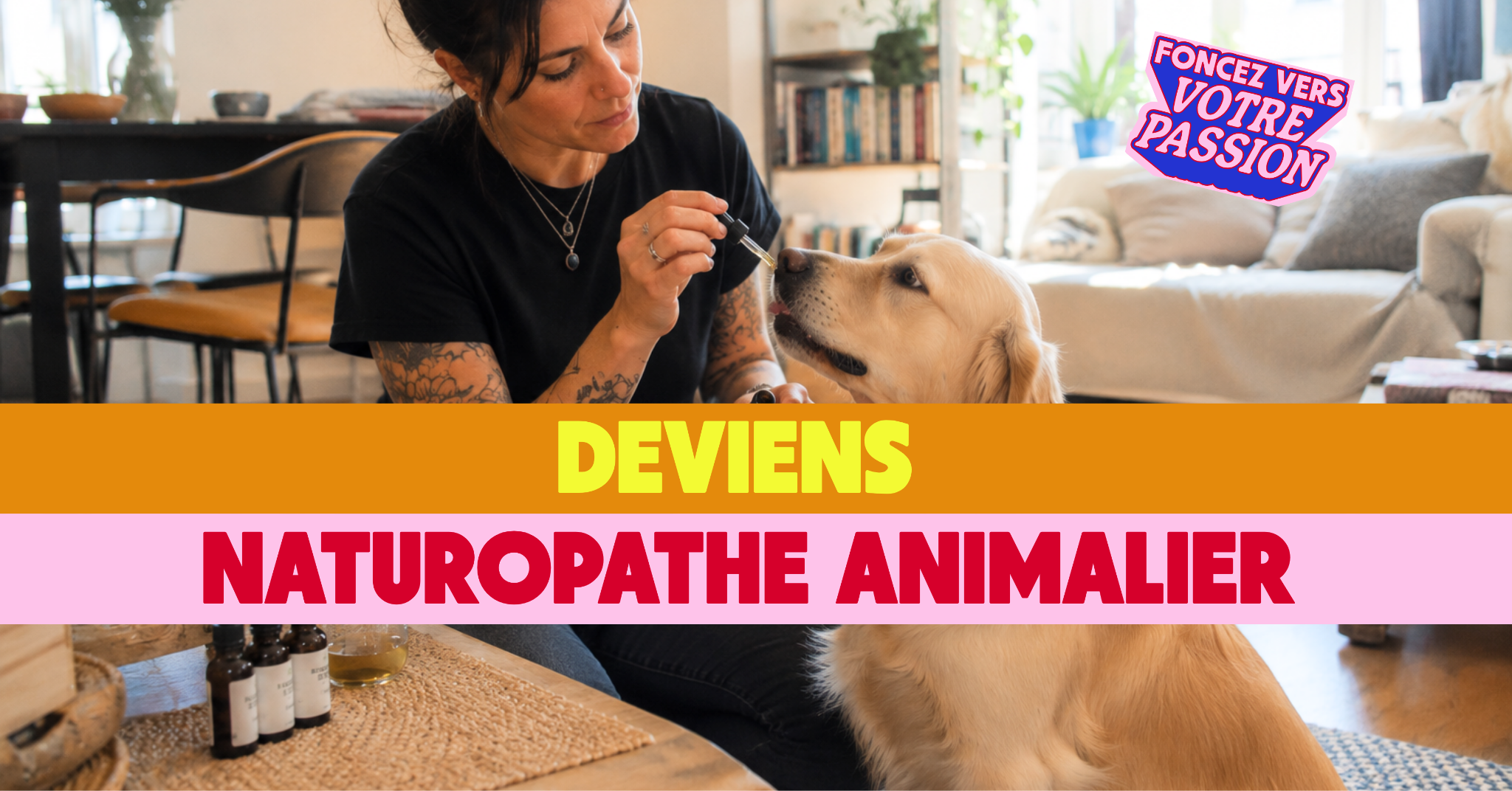 Snob Dog Academy Facebook ad: Télécharge notre brochure de formations