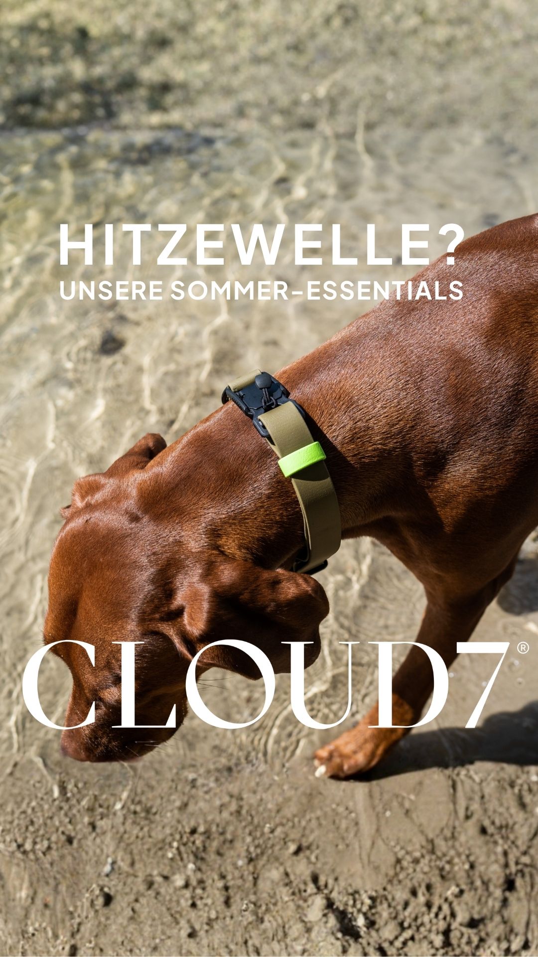 Cloud7 Facebook ad