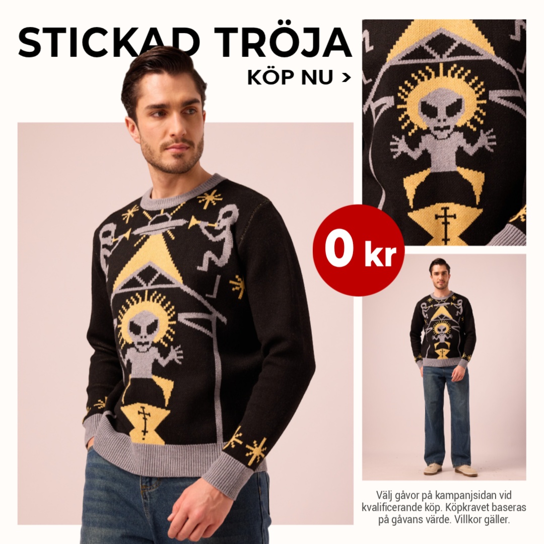 Temu Sweden Facebook ad