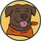 Travelers Rest Pet Sitting